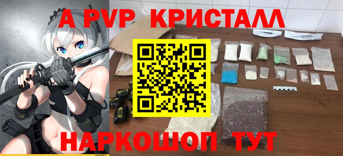 Альфа ПВП СК КРИС Нальчик